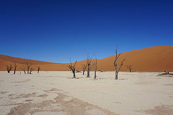 namibia, desert, sossusvlei, dune, sand, landscape, nature, tree, sea, blue Desert, brown Desert