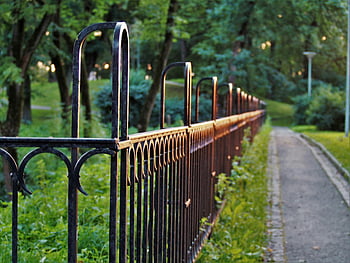 black metal fence, sunset light, lush park, pathway, serene outdoor, ambiance, metal fence, park pathway, outdoor scene, nature, evening light