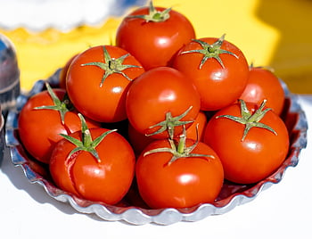 rajče, rajčata, rajče rostlina, rostlina, rostlinné, vegan, veganské jídlo, zelenina, zeleniny, jedlé bobule, solanum lycopersicum