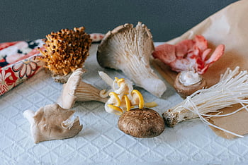 mushrooms, gourmet mushrooms, enoki, nameko, culinary themes, variety of mushrooms, kitchen preparation, displayed on table, perfect for cooking, different mushrooms, table display