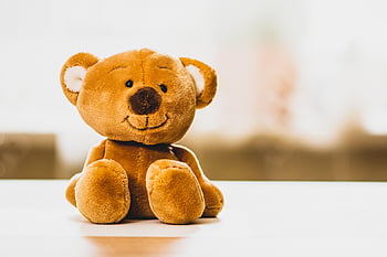 Urso, peluche, bicho de pelúcia, natureza, brinquedo fofinho, Urso marrom, crianças, animal, urso Teddy, Urso de pelúcia, Brinquedos infantis