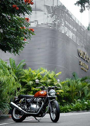 Royal Enfield Interceptor, 650 motorcykel, Sultan Bathery, indien, byens gade, parkeret motorcykel, royal enfield, Interceptor 650, bymæssige omgivelser, tropiske planter, moderne arkitektur
