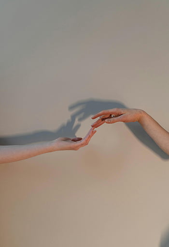 흰 벽 근처의 손, 인간의 손, 그림자, 연결, 표현, 창의적인 묘사, 흰 벽, 손 그림자, 예술적 사진, 미니멀리즘 아트, 접촉