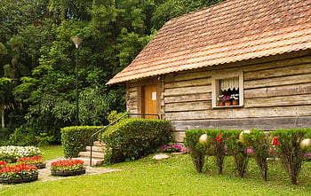 Les papeže, parana, Brazílie, curitiba, zahrada, kultura, cestovní ruch, Polsko, Les Johna Paula Ii, cestovní ruch v Brazílii