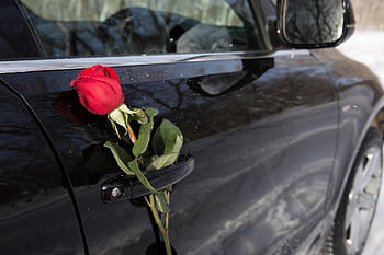 květ, růže, auto, Valentýn, výročí, oslava, dar, Krásná, Příroda, emoce, Rukojeť