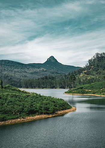 Srí Lanka, modrá obloha, kandy, den, moderní, cíl cesty, svítí, vzestup, krajina, divočina, pastviny