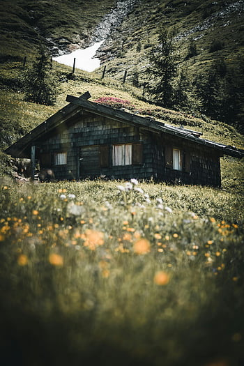 wooden cabin, mountain scene, summer, green landscape, charming house, black and brown, rustic cabin, alpine setting, natural beauty, outdoor retreat, wildflowers