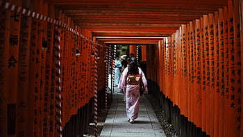 kobieta idzie, bramy torii, kapliczka fushimi inari, Kioto, Japonia, kimono, tradycyjna odzież, świątynia, strona kulturalna, Czerwone bramy, ścieżka pielgrzymkowa