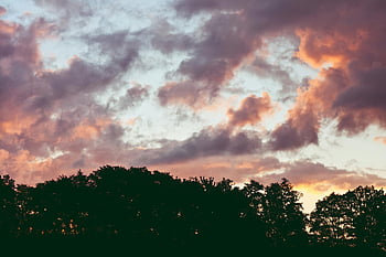 pink sky, vibrant sunset, dramatic clouds, silhouette of trees, scenic view, sunset sky, colorful clouds, tree silhouette, evening sky, nature scene, sunset landscape