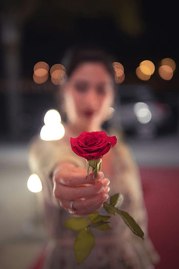 red rose, selective focus, bokeh background, vibrant red, blurry woman, holding rose, romantic photo, floral image, night scene, soft focus, outdoor setting