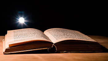 book, open, isolated, education, old, page, text, literature, paper, reading, library