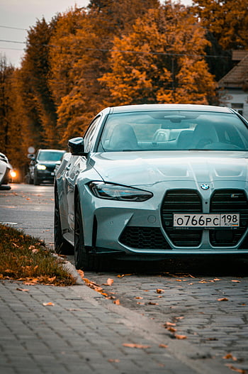BMW車、 秋の道、 カリーニングラード、 紅葉、 高級車、 駐車中の車、 鮮やかな葉、 季節の景色、 都市通り、 ドイツ車、 ロシアのナンバープレート