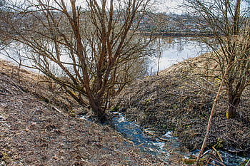 musim semi, stream, sungai
