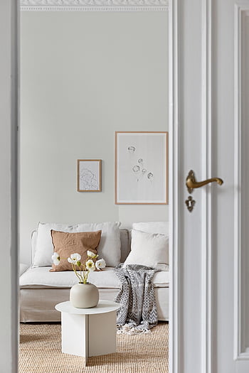 soggiorno, divano, immobiliare, interno, Casa, lusso, tavolo, pavimento, di legno, arredamento, cuscini