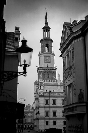 grayscale photography, Poznań Town Hall, gothic architecture, monochrome view, iconic tower, black and white, historical building, urban landscape, European architecture, cityscape, clock tower