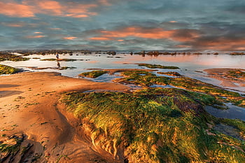 sunset, sea, coast, beach, seaside, horizon, sky, clouds, coastline, shore, moss