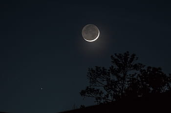 月、 ワックスがけ、 三日月、 アルデバラン、 夜、 空、 木、 シルエット、 星、 2019年
