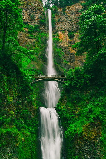 Puente Cerca de la Cascada, wodospad, Natura, las, zieleń, na wolnym powietrzu, krajobraz, naturalne piękno, cel podróży, piękny widok