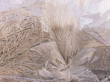 ice Flowers, ice Crystals, winter Magic, frost, crystallization, fantasy, landscape, gold Shimmer, floral, spring-like, silk Gloss