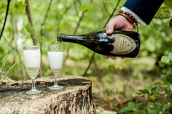 champagne, pouring, clear drinking glasses, outdoor setting, sophisticated moment, bottle of champagne, lush outdoor, champagne glasses, person holding bottle, champagne pour, outdoor champagne