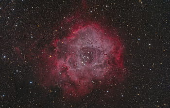 NGC 2244、 ロゼット星雲、 星雲、 オープンクラスター、 モノセロ、 h ii地域、 分子雲、 星団、 スペース、 天文学、 天の