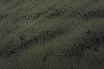 abstract art, dark background, scratches, textured surface, dark green tones, visible cracks, abstract image, artistic texture, modern art, abstract design, dark green