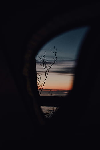 západ slunce, silueta, holý strom, dramatická scéna, zachyceno oknem, večerní obloze, přírodní krajina, venkovní fotografie, klidný okamžik, fotografování přírody