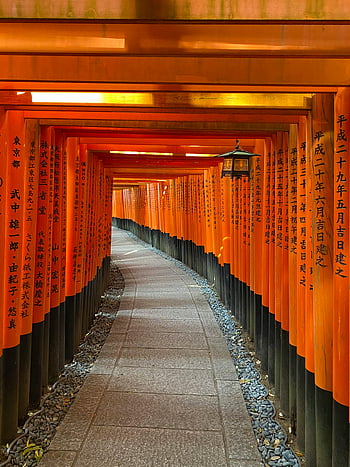 fushimi inari svatyně, brány torii, kyoto, Japonsko, oranžové brány torii, ikonický torii, svatyně, japonské svatyně, tradiční architektura, kulturní památka, duchovní místo