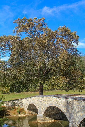 antietam, hořící most, mezník, historický, bojiště, strom svědků