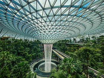aeroporto gioiello changi, Singapore, cascata interna, vegetazione lussureggiante, destinazione del viaggio, Attrazione dell'aeroporto, Turismo di Singapore, Marvel architettonico, oasi naturale, giardino interno, fotografia di viaggio