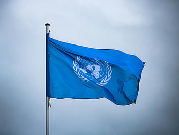 drapeau des nations unies, Drapeau de l'ONU, drapeau battant, unité mondiale, ciel gris en sourdine, drapeau vibrant, symbole international, paix mondiale, drapeau bleu, mât de drapeau, drapeau ondulant