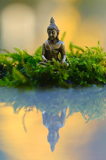 socha, Buddha, Buddha Purnima, buddhismus, náboženství, víra, kultura, budha