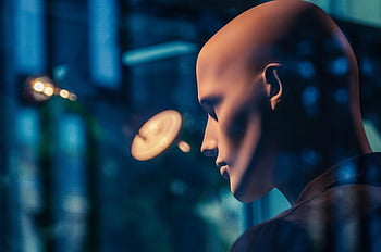 store Window, model, head, face, mannequin, spotlight