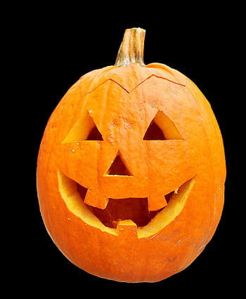 zucca, frutta, arancia, autunno, zucca gigante, pianta di zucca, grande, gigantesco, cibo, verdure, commestibile
