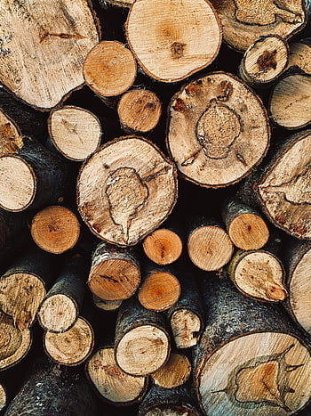 pile of chopped woods, stacked chopped logs, detailed texture, natural wood look, rustic wood, chopped logs, wood texture, stacked logs, natural logs, rustic logs, wood pile