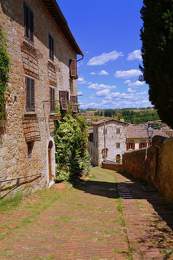 discesa, Casa, strada, erba, verde, parete, alberi, colle di val d'elsa, Toscana, Italia, turismo