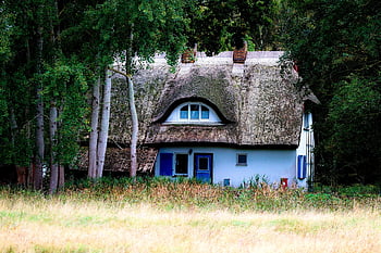 house, thatched Roof, forest, idyll, idyllic, nature, mecklenburg Western Pomerania, landscape