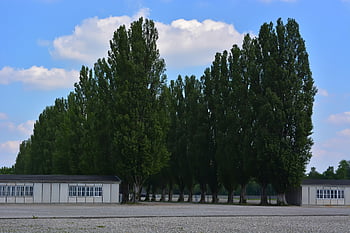 konzentrationslager, dachau, history, kz, past, monument, concentration Camp, murder, bavaria, germany, memorial
