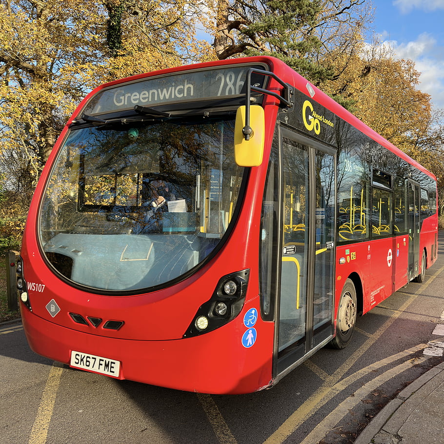 autobus, Červené, Sidcup královny Mary, greenwich, Trasa 286, veřejná doprava, podzim, stromy, Londýn, ulice, poznávací značka