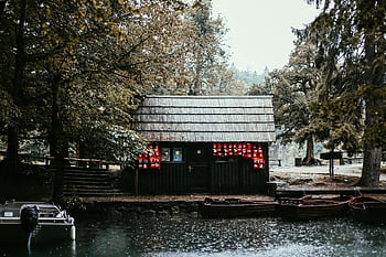 lake cabin, wooden boats, lakeside cabin, serene landscape, rainy day, moored boats, trees, scenic view, waterfront, cabin retreat, nature setting