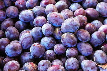 fruit, plums, harvest, food, healthy, vitamins, organic