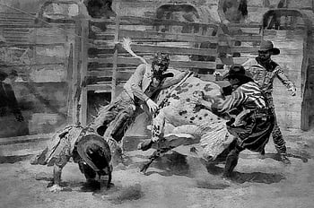 rodeo, býk na koni, jezdec, nebezpečí, vzpírání, zábava, nebezpečný, západní, černobílý, foto umění