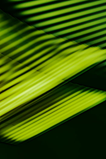 abstract art, green lines, dynamic pattern, vibrant visual, bold green, abstract image, striking pattern, green and black, abstract design, modern art, visual impact