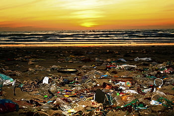 beach, trash, pollution, plastic, environment, garbage, tropics, southeast Asia, vietnam, muine, rubbish