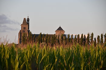 bidang, alam, di luar rumah, katedral dol de bretagne, Monumen, warisan, keagamaan, agama, ladang jagung