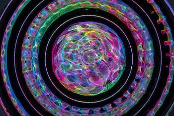 cerchi concentrici, Cerchi colorati, Effetto visivo astratto, sfondo scuro, effetto ipnotizzante, colori vibranti, motivi circolari, arte astratta, astratto colorato, motivi concentrici