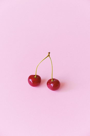 붉은 잘 익은 체리, 핑크색 표면, 쌍둥이 체리, 파스텔 핑크 배경, 신선한 모양, 생생한 표정, 클로즈업 체리, 잘 익은 체리, 체리 과일, 분홍색 배경, 빨간 체리