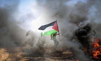 man, palestinian Flag, smoke, burning, fire, jihad, palestine, gaza, bombing, war, poverty