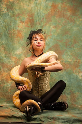 snake, performance, albino, python, terrarium, animals, young Woman, woman, portrait, reptile, exotic