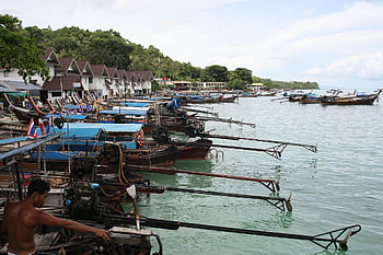 thailand, 푸켓, 관광, 바닷가, 여행